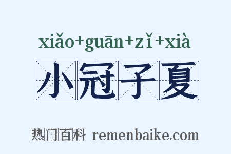 小冠子夏是什么意思的图片